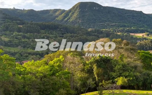 PROPRIEDADES RURAIS – VENDA