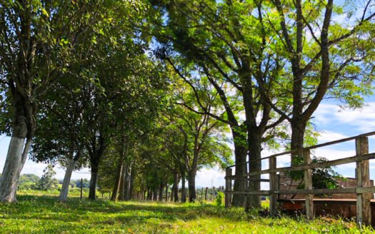 PROPRIEDADE RURAL – VENDA